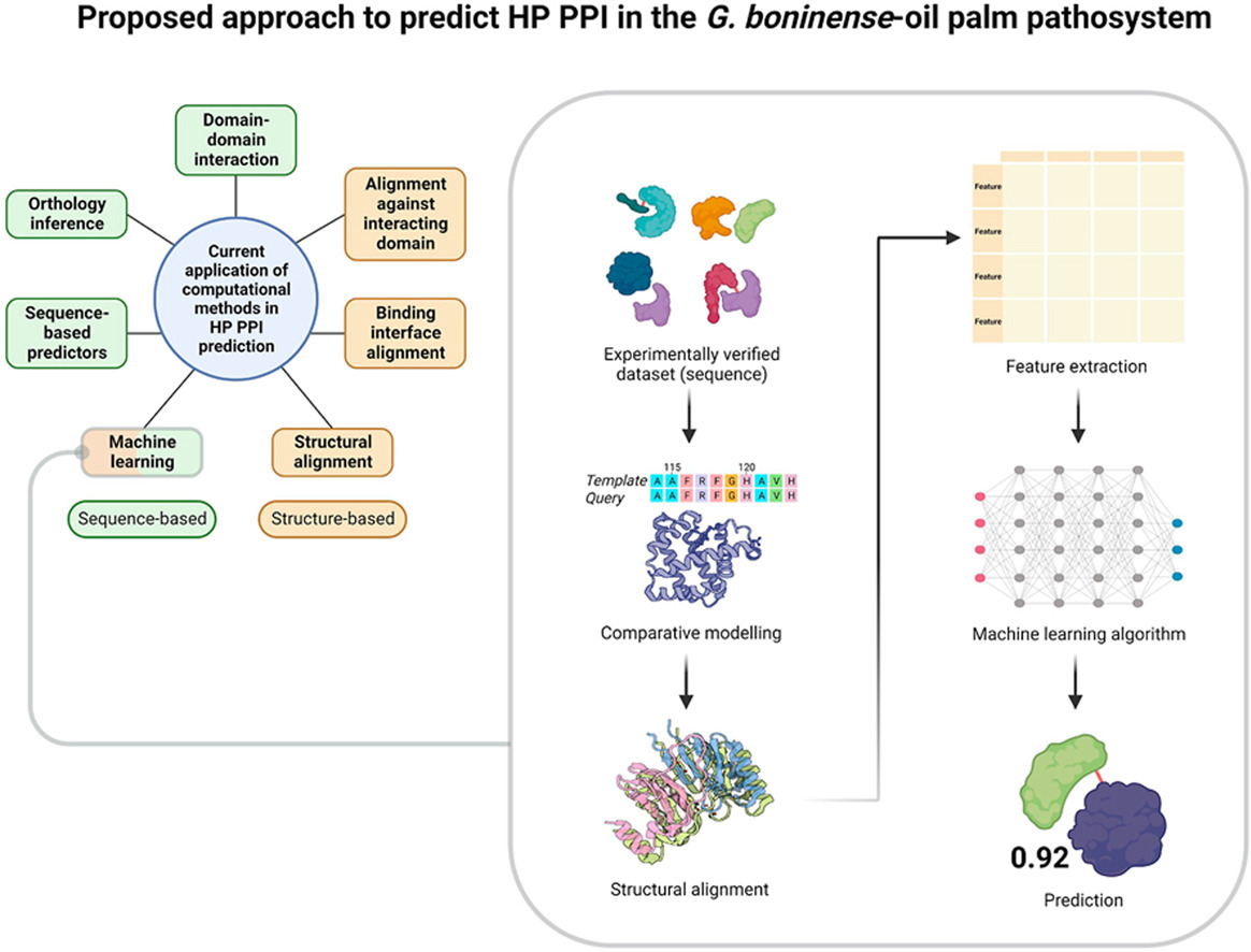 Current progress on the computational methods for prediction of host-pathogen protein-protein interaction in the Ganoderma boninense-oil palm pathosystem